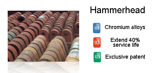 Hammerhead introduction