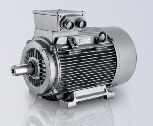 Crusher Motor