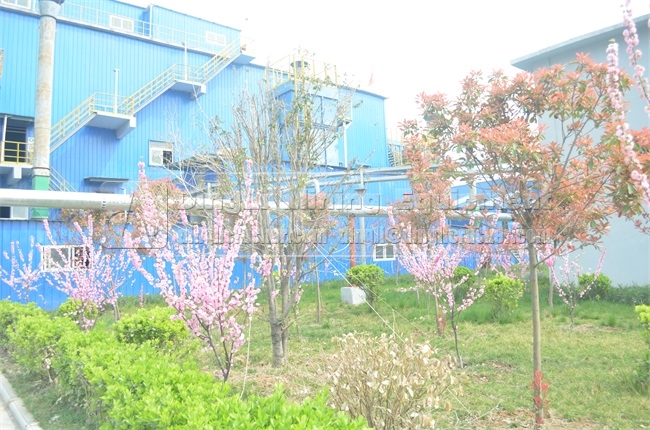plant trees in the crushing plant 
